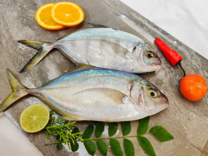 Sea Fish
