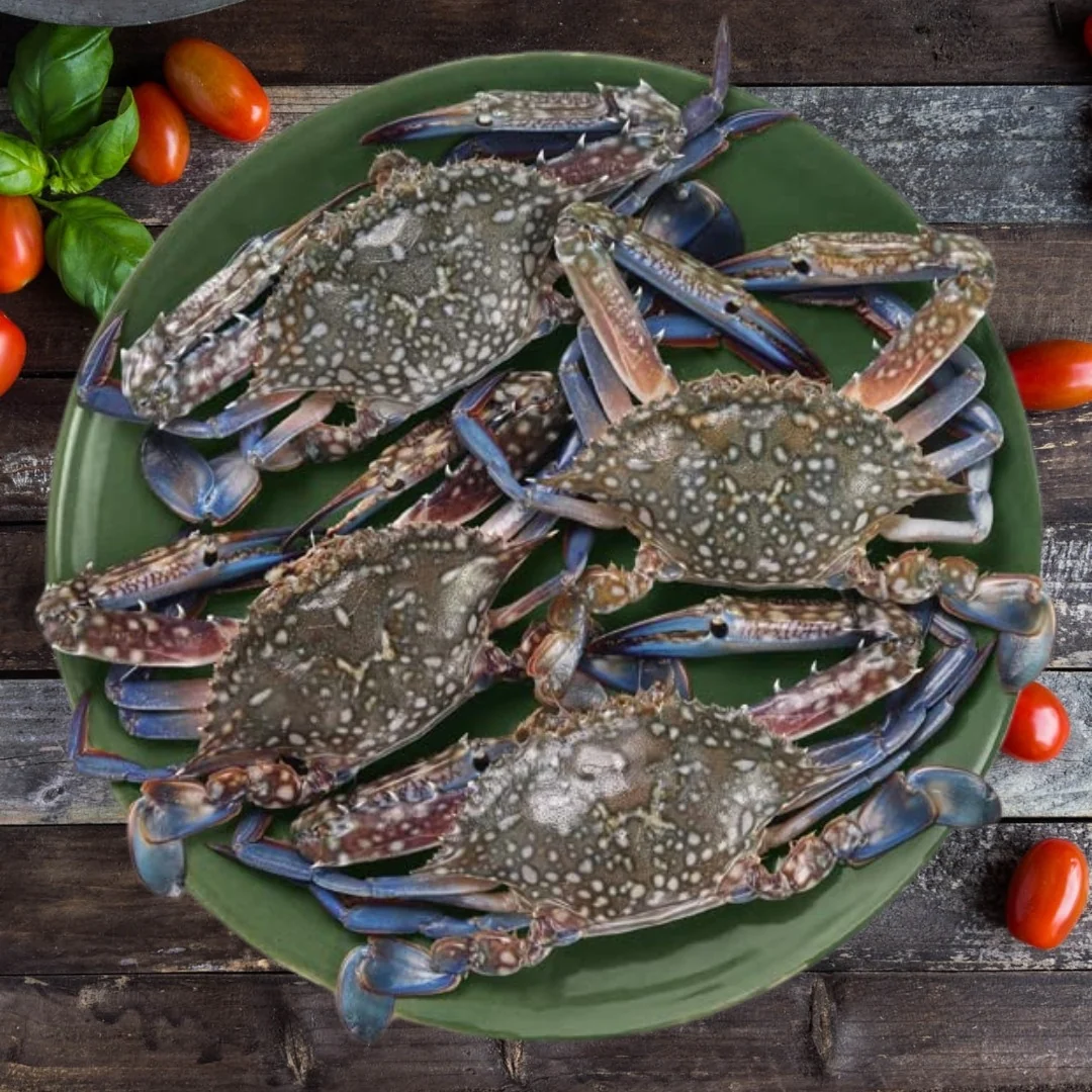 Blue Sea Crab