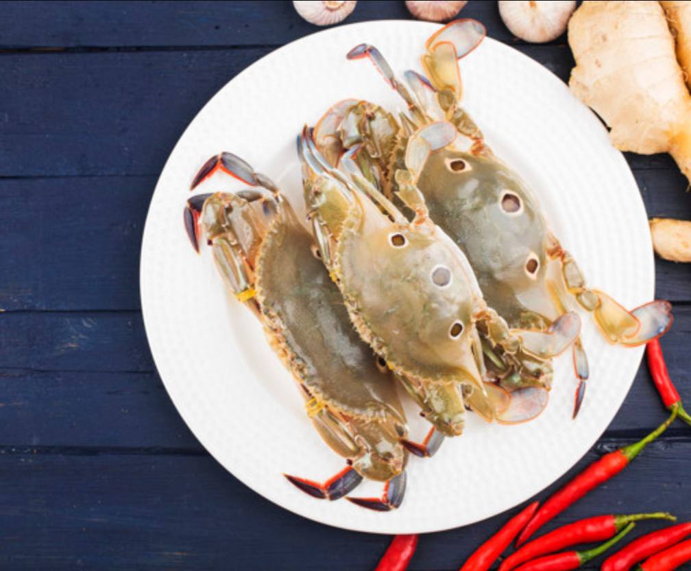 3 Dot Crab / Nandu
