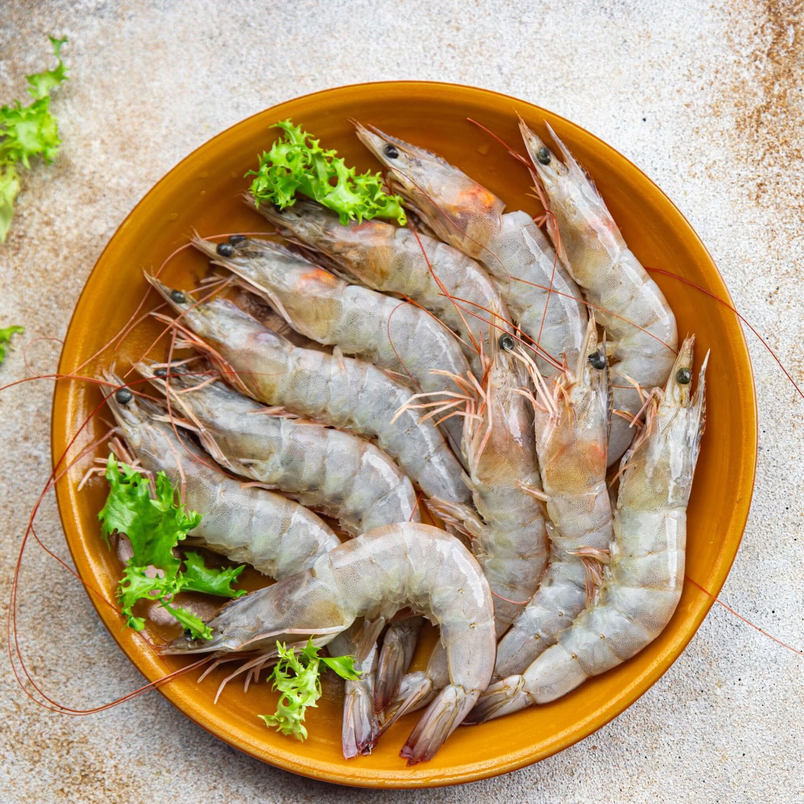 Prawn (Small)